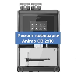 Чистка кофемашины Animo CB 2x10 от накипи в Красноярске